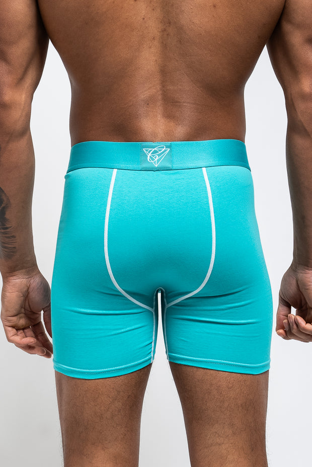 Turquoise boxers worn by a model back image
